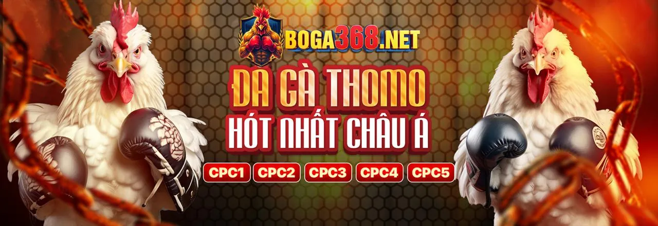 Sân đá gà trực tuyến Nextbet Link Mới