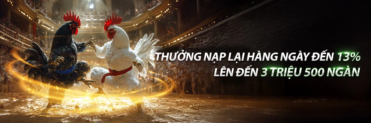 Hình ảnh chính nextbet link mới